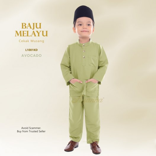 Baju Melayu Cekak Musang L1001KD (SageGreen)